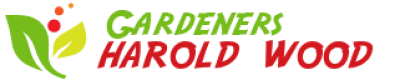 logo.png