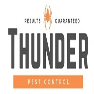 Thunder-Pest-400.jpg