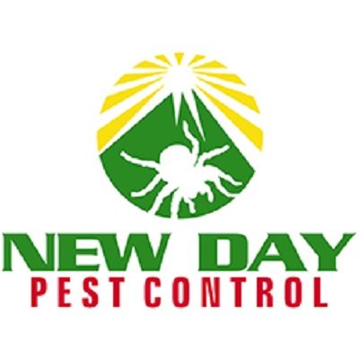 new-day-logo-Google_-(1).jpg