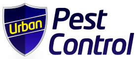 logo (3).png