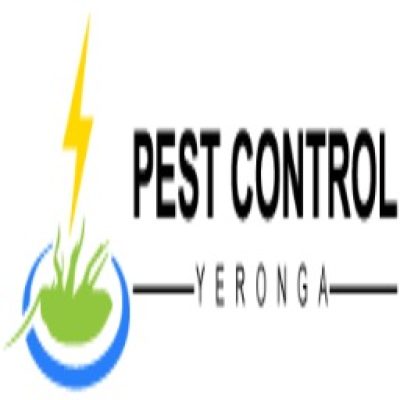 Pest Control Yeronga 256.jpg
