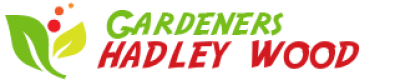 logo.png